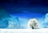 世界拳击体能训练营：科学化训练赢得信任，世界拳王训练
