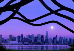 世界举重公开赛赛后科研成果商业化首批签约仪式举行，世界举重锦标赛